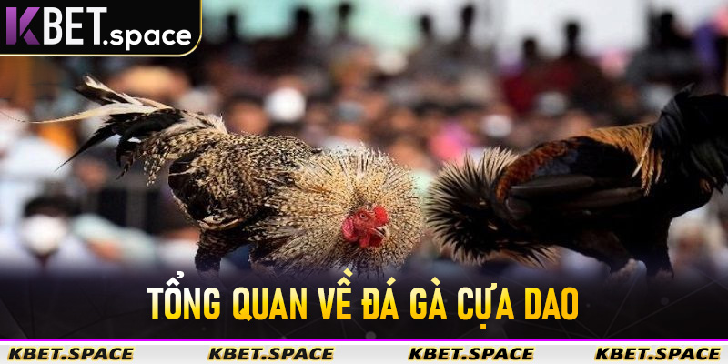 Đá Gà Cựa Dao Kbet - Sân Chơi Đá Gà Trực Tuyến Đẳng Cấp Số #1 Châu Á - kbet.space - Cevox