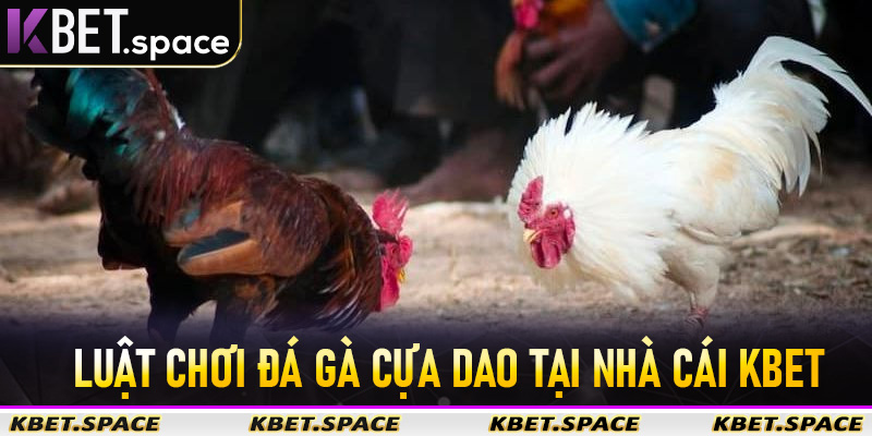 Đá Gà Cựa Dao Kbet - Sân Chơi Đá Gà Trực Tuyến Đẳng Cấp Số #1 Châu Á - kbet.space - Cevox