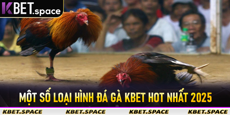 Đá Gà Kbet - Thiên Đường Đá Gà Trực Tuyến Hấp Dẫn Hot Nhất 2026 - kbet.space - Cevox