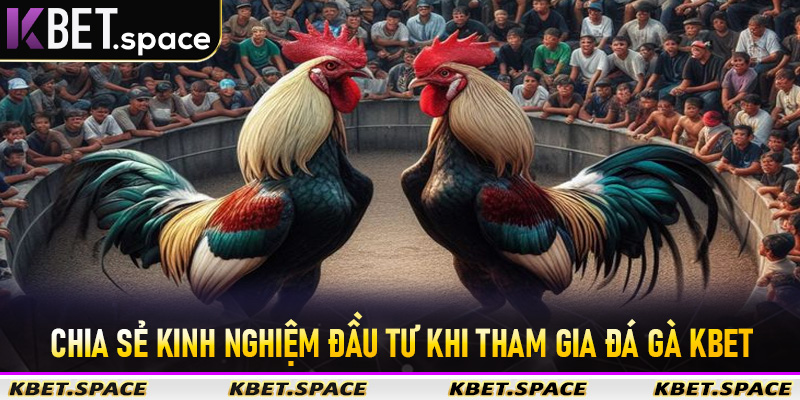 Đá Gà Kbet - Thiên Đường Đá Gà Trực Tuyến Hấp Dẫn Hot Nhất 2026 - kbet.space - Cevox