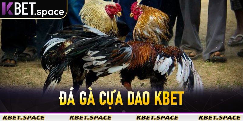 Đá Gà Cựa Dao Kbet - Sân Chơi Đá Gà Trực Tuyến Đẳng Cấp Số #1 Châu Á - kbet.space - Cevox