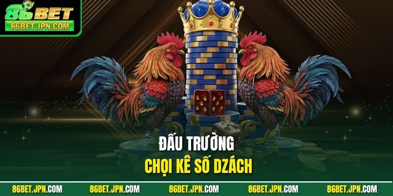 Về Nhà Cái 86BET – Điểm Hẹn Cá Cược Đổi Thưởng Hot Nhất 2026 - Cevox