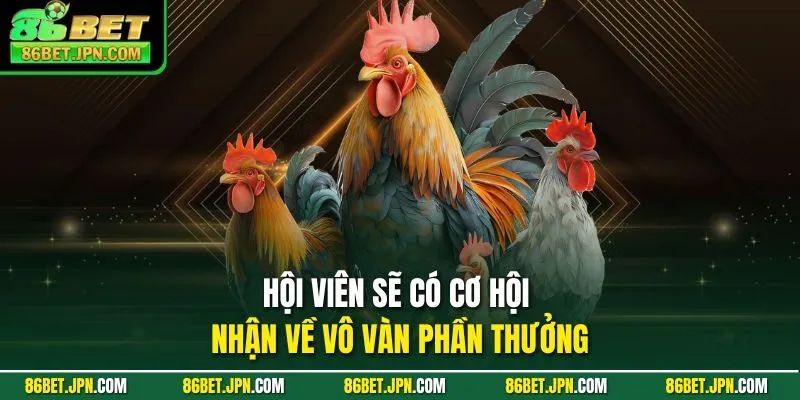 Đá Gà 86BET - Ra Mắt Hơn 100 Trận Thomo Rực Lựa Mỗi Ngày - Cevox