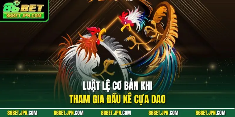 Đá Gà Trực Tiếp Cựa Dao Sự Lựa Chọn Nhiều Nhất 2026 - Cevox