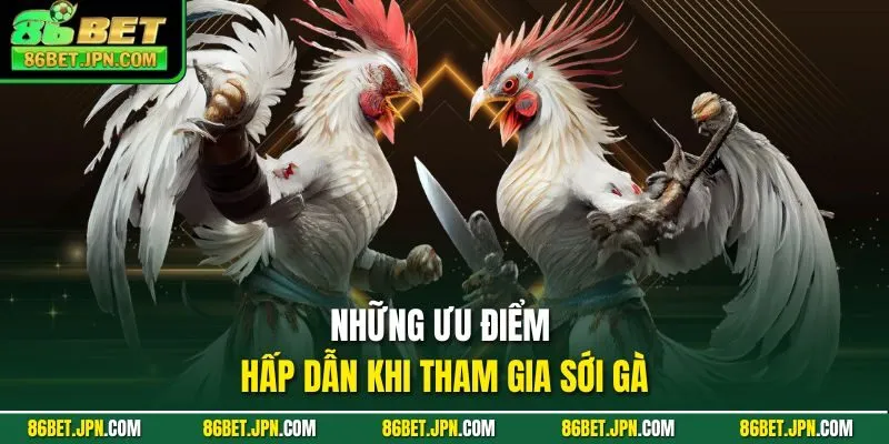 Đá Gà 86BET - Ra Mắt Hơn 100 Trận Thomo Rực Lựa Mỗi Ngày - Cevox