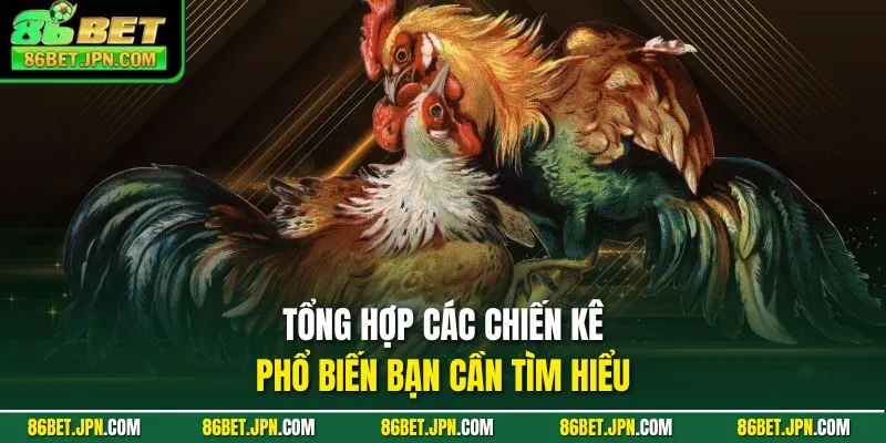 Đá Gà Trực Tiếp Cựa Dao Sự Lựa Chọn Nhiều Nhất 2026 - Cevox
