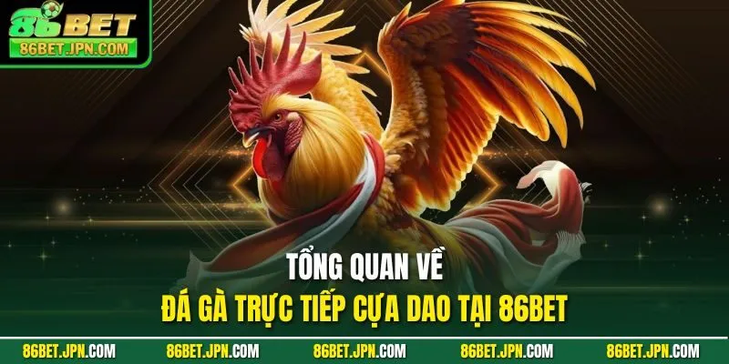 Đá Gà Trực Tiếp Cựa Dao Sự Lựa Chọn Nhiều Nhất 2026 - Cevox