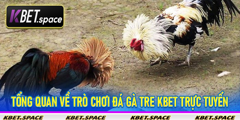 Đá Gà Tre Kbet - Trải Nghiệm Cá Cược Gà Tre Đỉnh Cao - kbet.space - Cevox